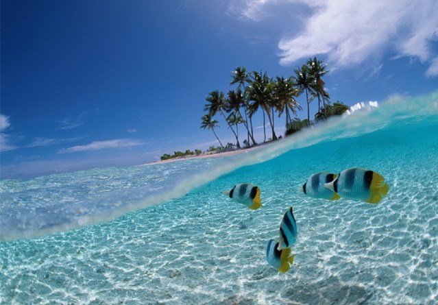 อินโดนีเซียยกเว้นวีซ่าให้แก่พลเมืองของ 25 ประเทศ